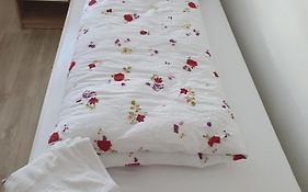 Privatzimmer An Der Universitaetsklinik Mainz. Sehr Zentral